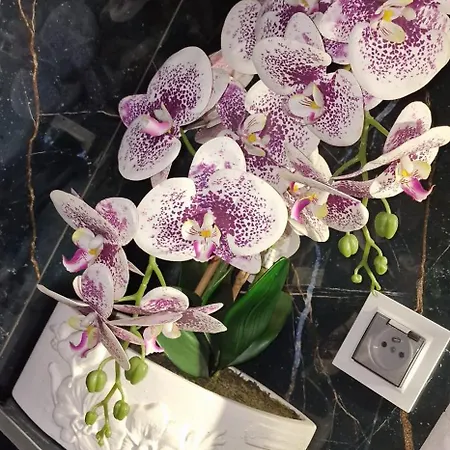 Jacuzzi Przy Plazy - Appartement